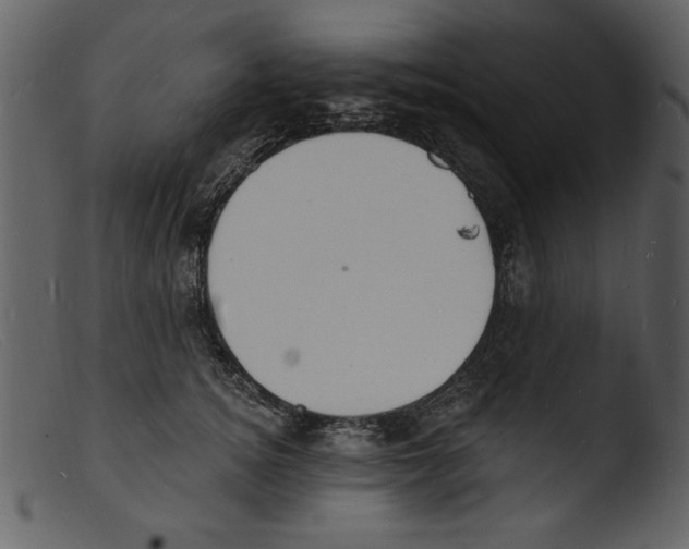 X0000103300756200809261313
