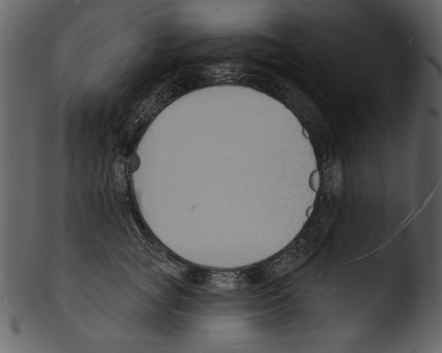 X0000103300757200809261313