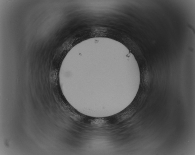 X0000103300759200809261313