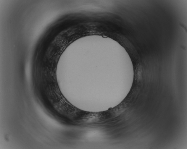 X0000103300764200809261313