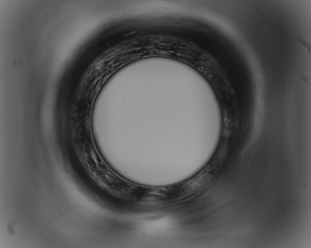X0000103300765200809261313