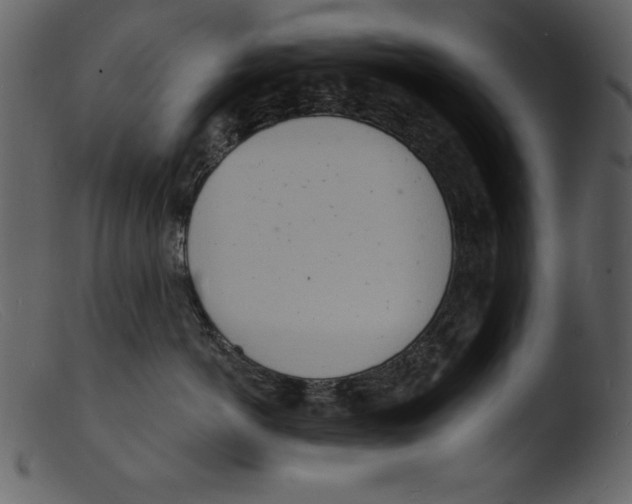 X0000103300766200809261313