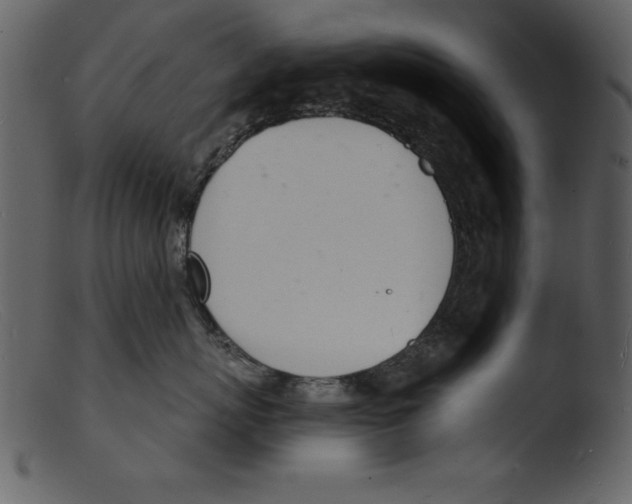 X0000103300767200809261313