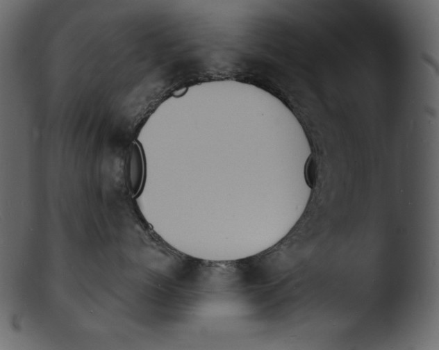 X0000103300768200809261313