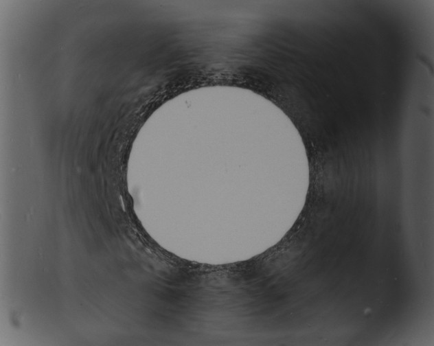 X0000103300769200809261312