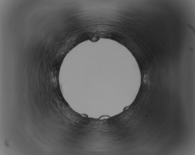 X0000103300771200809261312