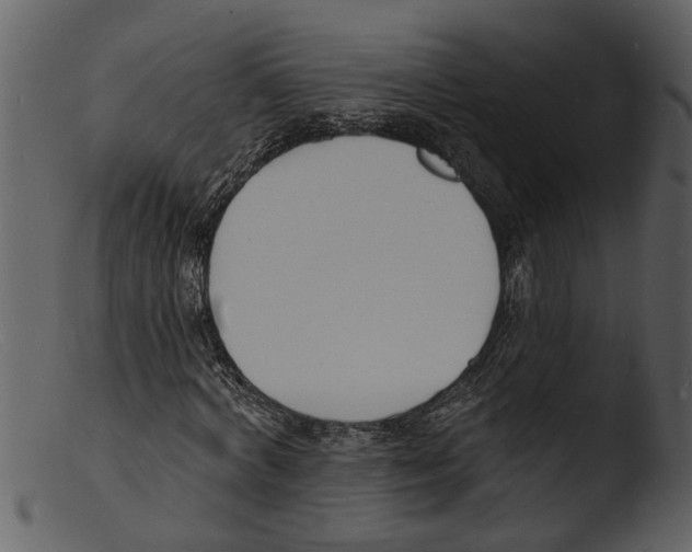 X0000103300772200809261312