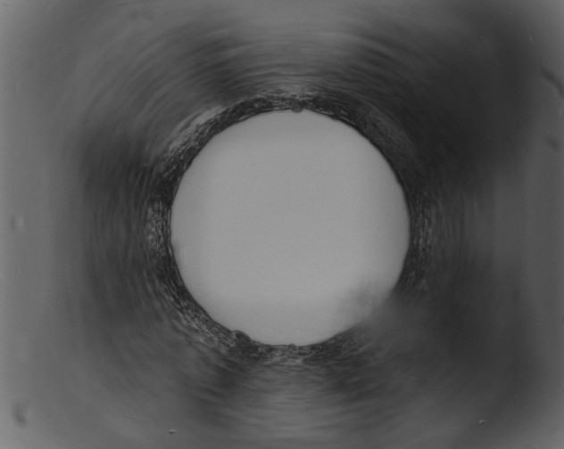 X0000103300773200809261312