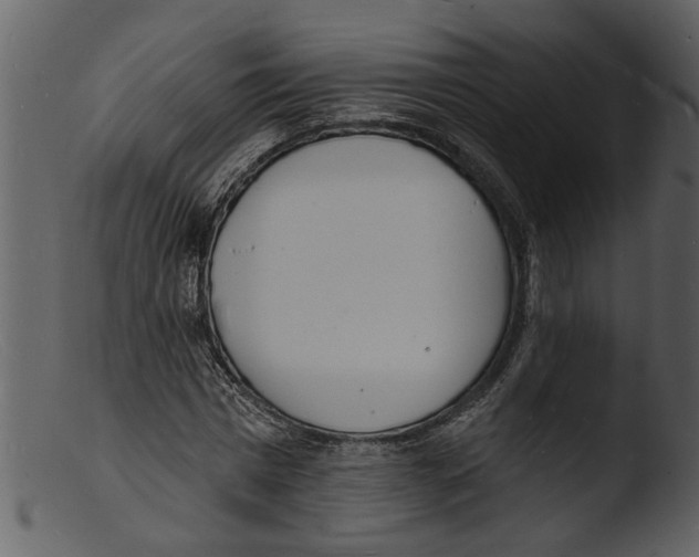 X0000103300777200809261312