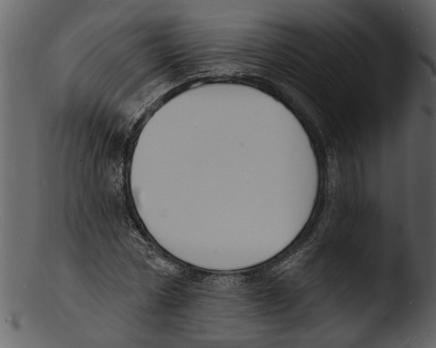X0000103300778200809261312