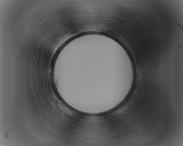X0000103300779200809261312