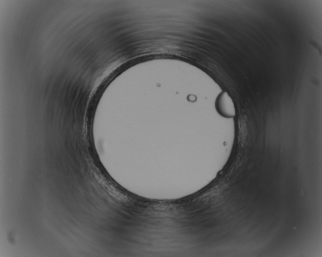X0000103300780200809261312