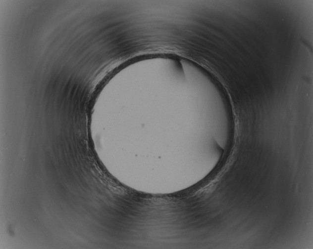 X0000103300781200809261312
