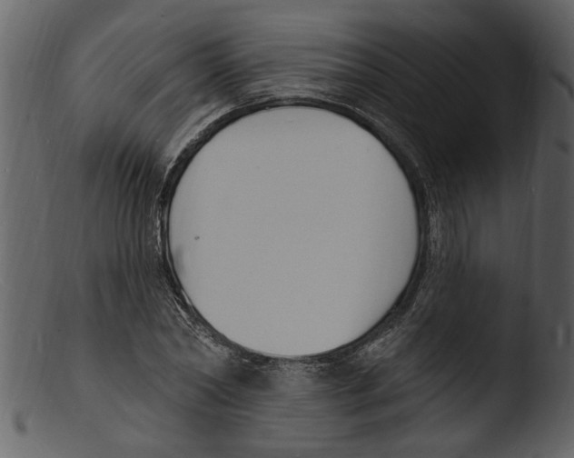 X0000103300782200809261312