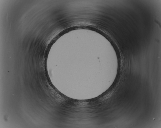 X0000103300783200809261312