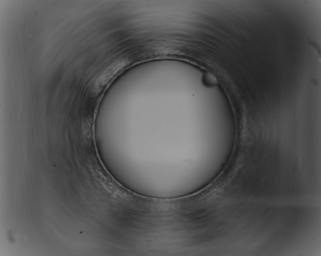 X0000103300785200809261312