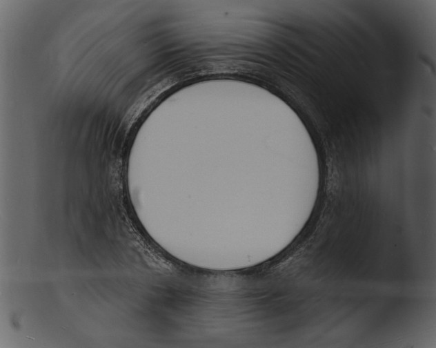 X0000103300786200809261312