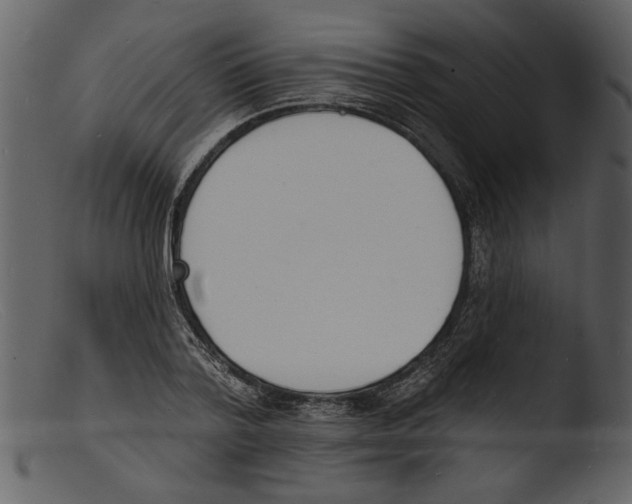 X0000103300788200809261312