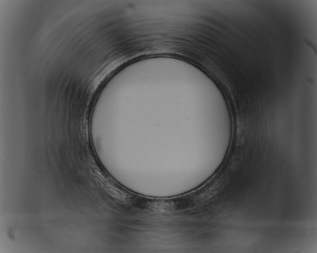 X0000103300789200809261312
