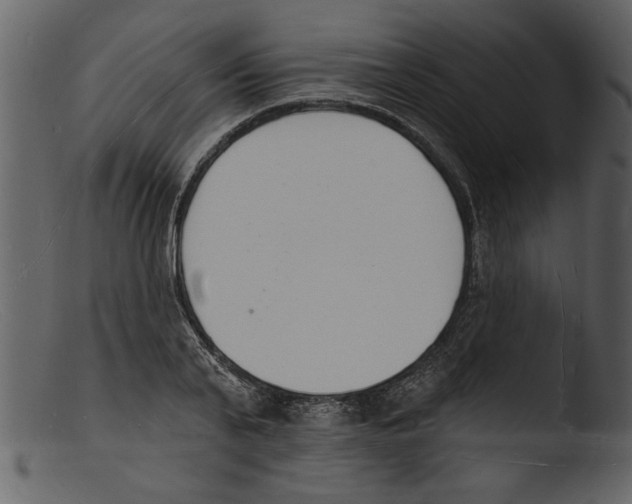 X0000103300791200809261312