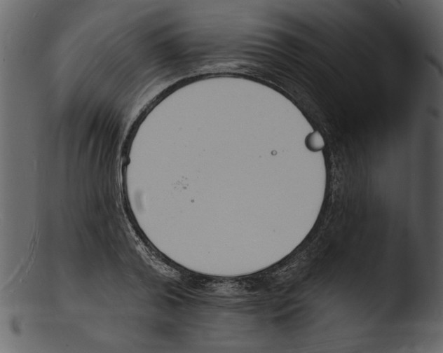 X0000103300792200809261312