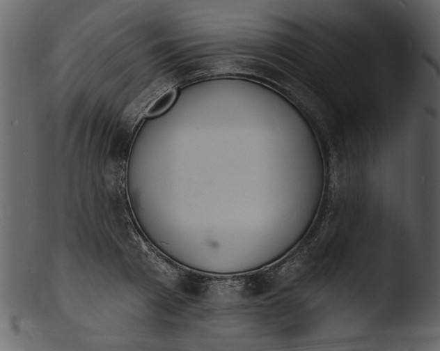 X0000103300793200809261312