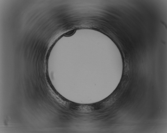 X0000103300795200809261312