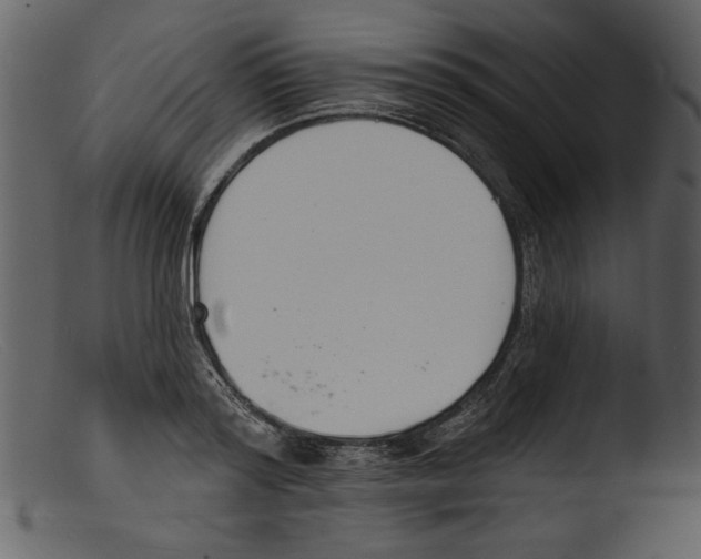 X0000103300796200809261312