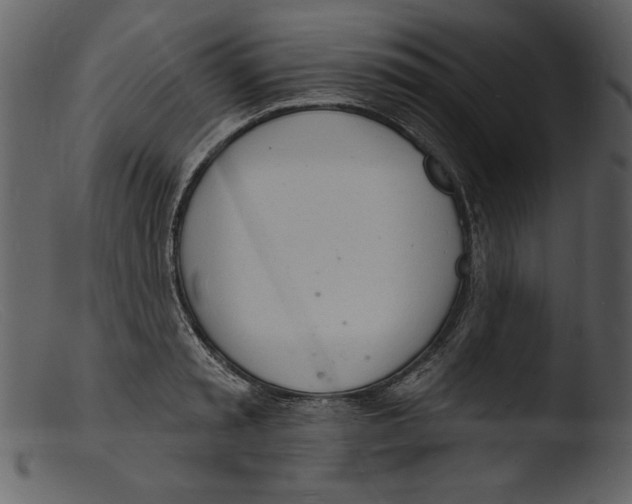 X0000103300797200809261312