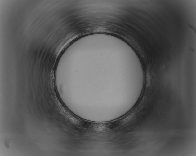 X0000103300798200809261312