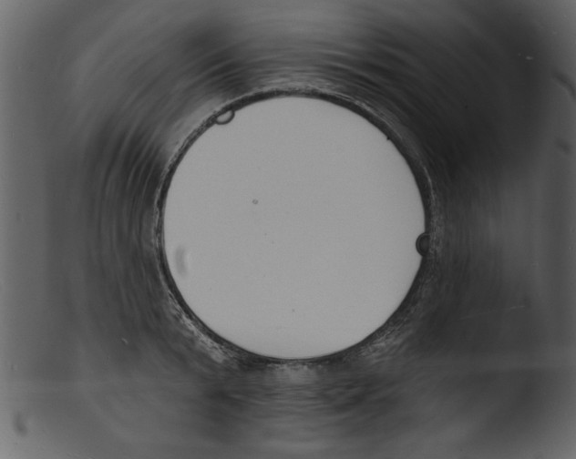 X0000103300799200809261312