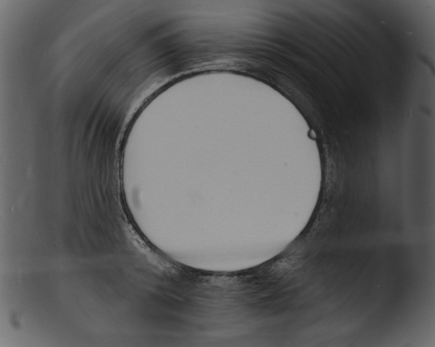 X0000103300800200809261312