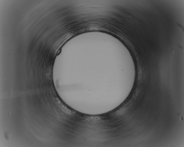 X0000103300801200809261312