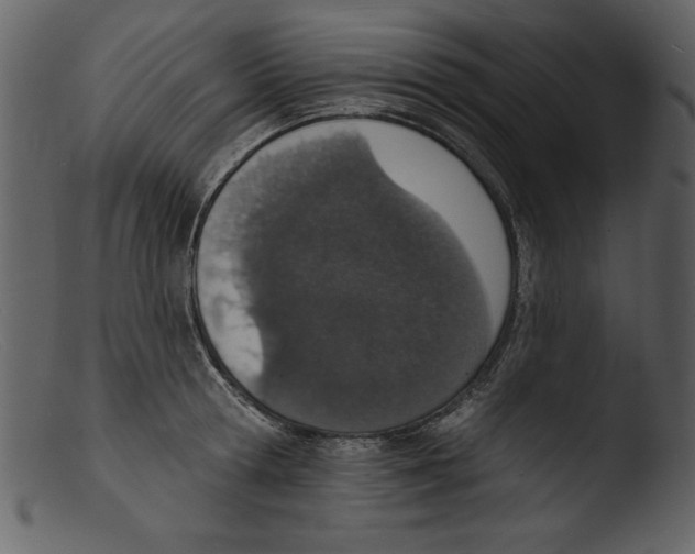X0000103300802200809261312