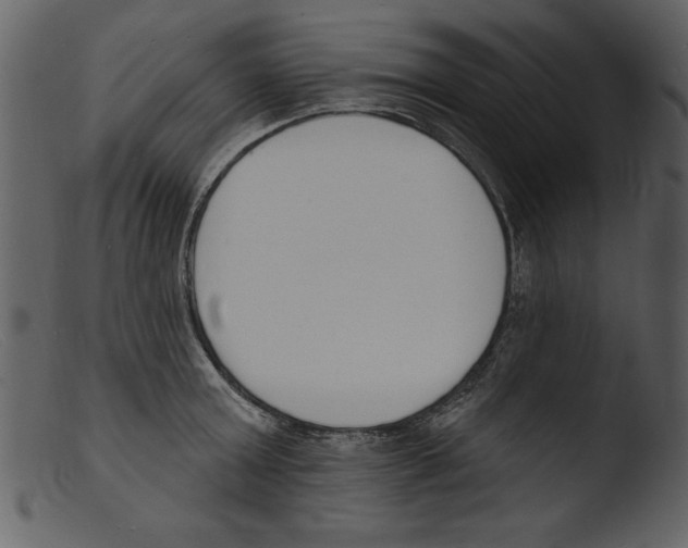 X0000103300803200809261312