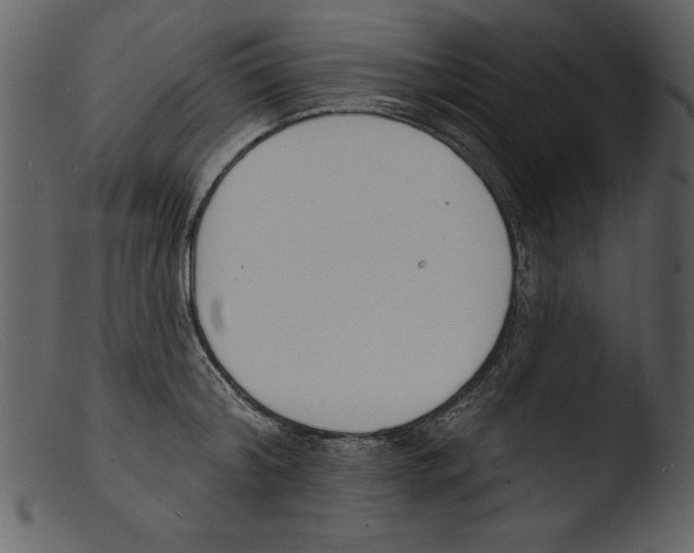 X0000103300804200809261312