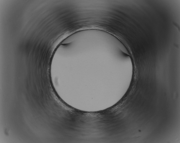 X0000103300805200809261312