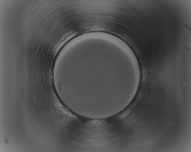 X0000103300806200809261312
