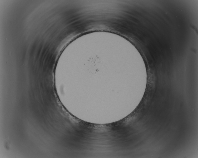 X0000103300807200809261312