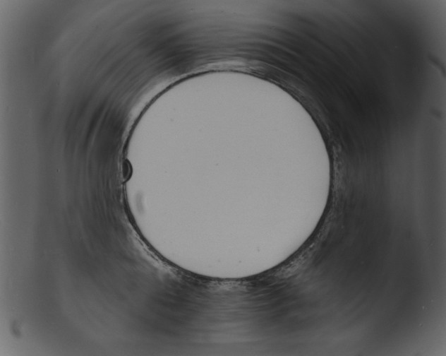 X0000103300808200809261312