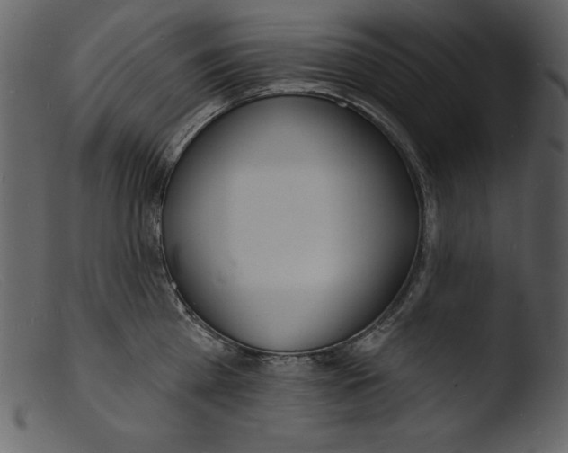 X0000103300809200809261312