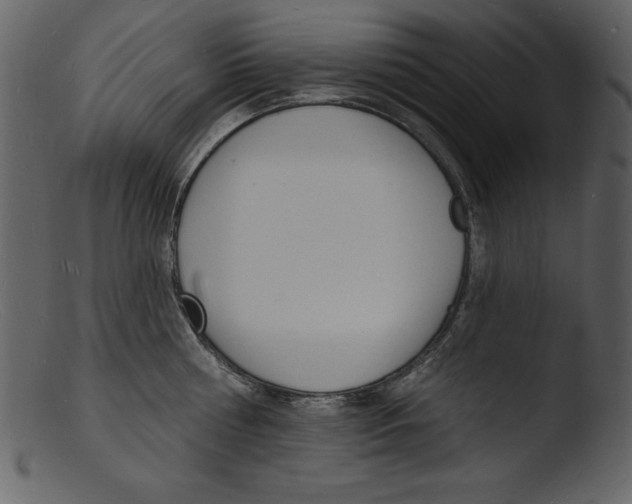 X0000103300810200809261312