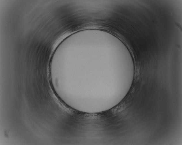 X0000103300811200809261312