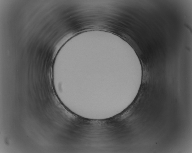 X0000103300812200809261312