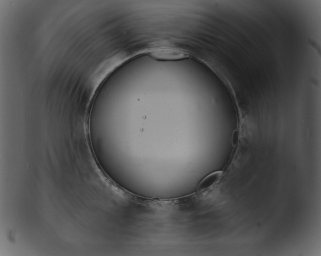 X0000103300813200809261312