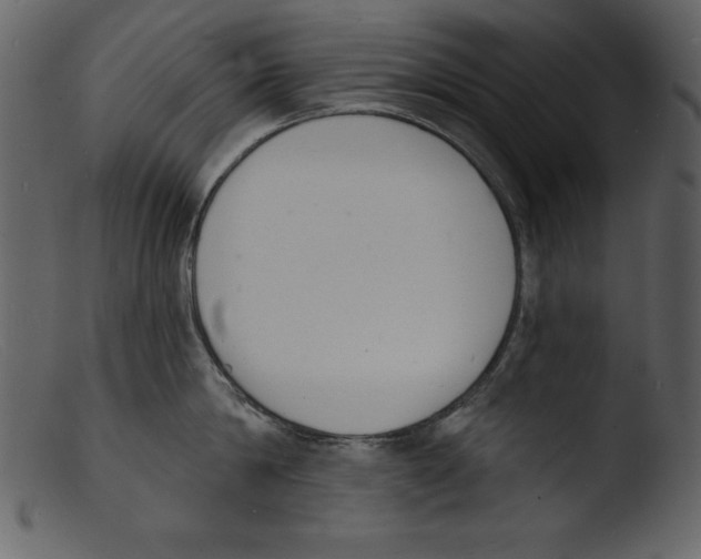 X0000103300814200809261312