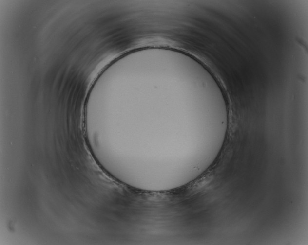 X0000103300815200809261312