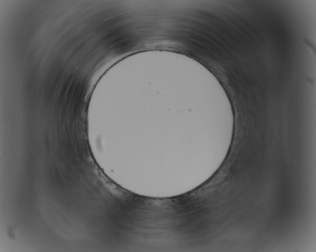 X0000103300816200809261312