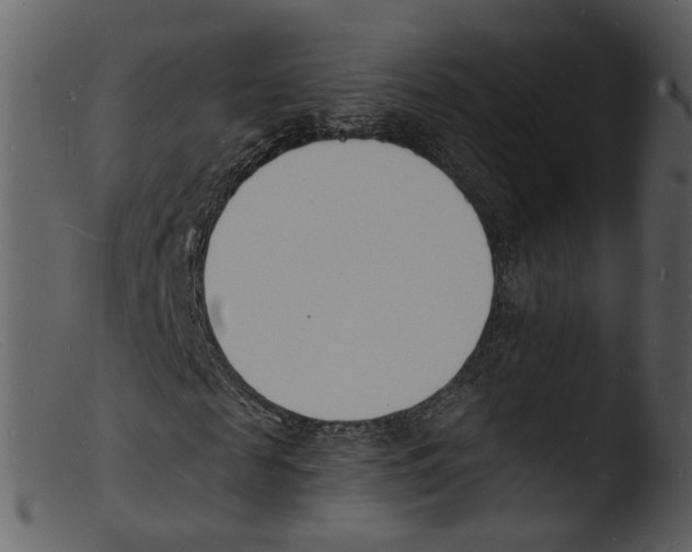 X0000103300817200809261311