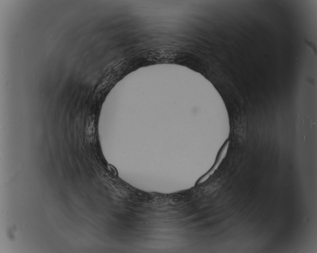 X0000103300818200809261311